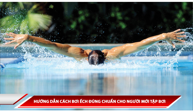 HƯỚNG DẪN CÁCH BƠI ẾCH ĐÚNG CHUẨN CHO NGƯỜI MỚI TẬP BƠI